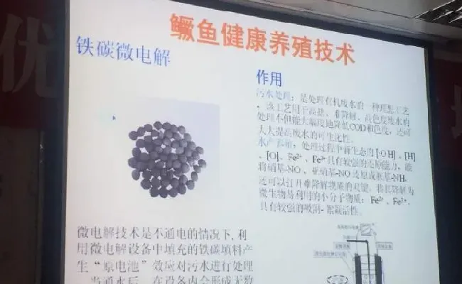 桂花鱼养殖技术培训班心得体会分享