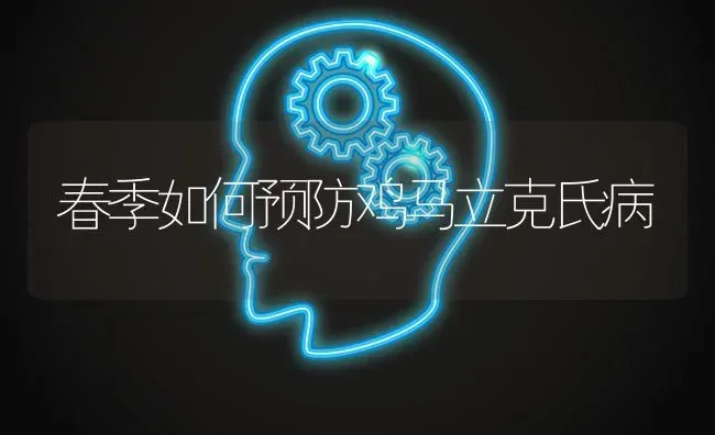 春季如何预防鸡马立克氏病 | 家禽养殖