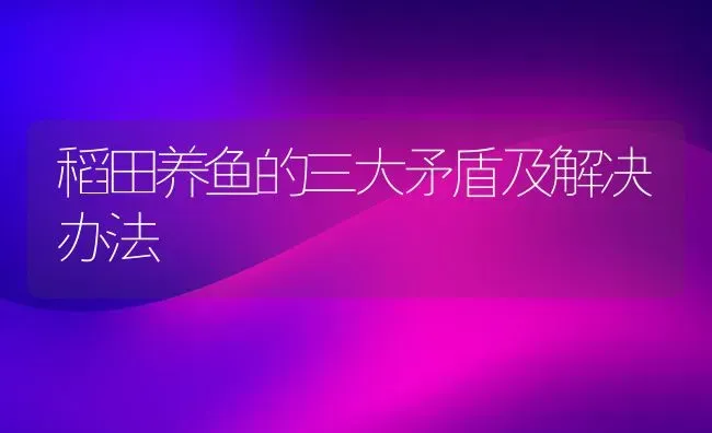 稻田养鱼的三大矛盾及解决办法 | 淡水养殖