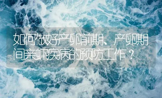 如何做好产卵前期、产卵期间亲虾疾病的预防工作？ | 海水养殖