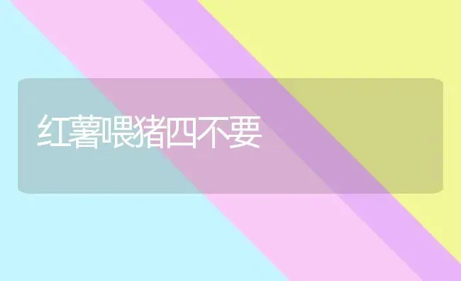 红薯喂猪四不要 | 家畜养殖