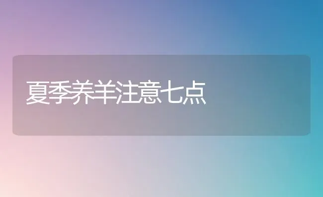 夏季养羊注意七点 | 家畜养殖