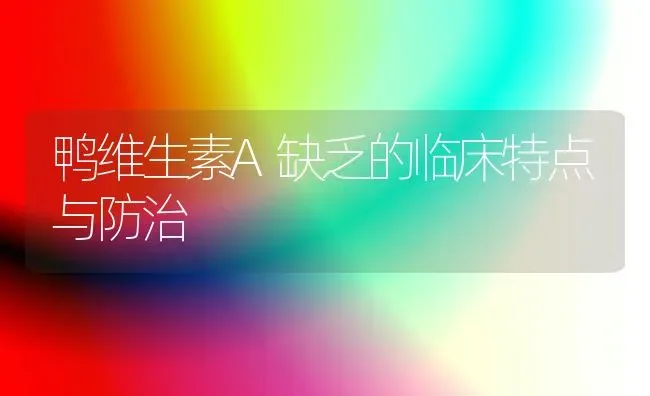 鸭维生素A缺乏的临床特点与防治 | 家禽养殖