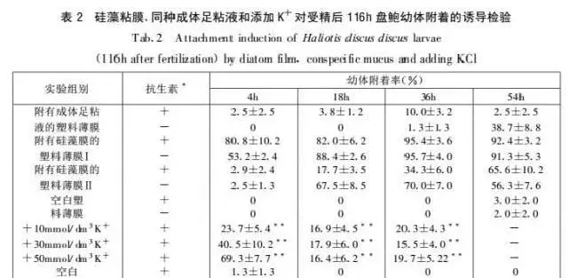 鲍鱼的“着陆”之旅：影响鲍鱼浮游幼体的附着和变态的因素介绍