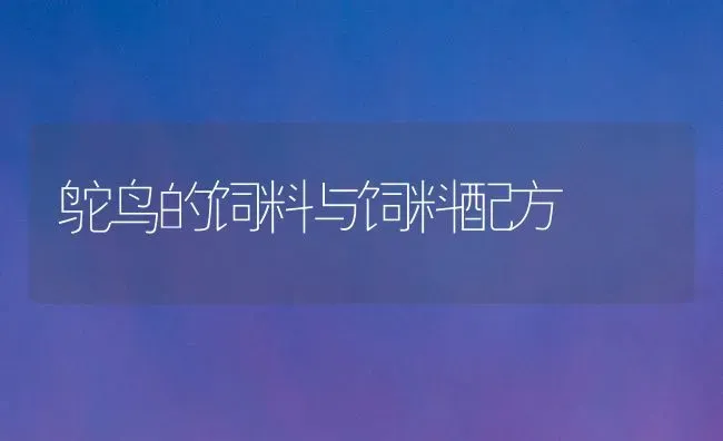 鸵鸟的饲料与饲料配方 | 动物养殖饲料