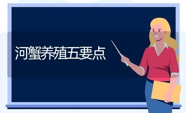 河蟹养殖五要点 | 淡水养殖