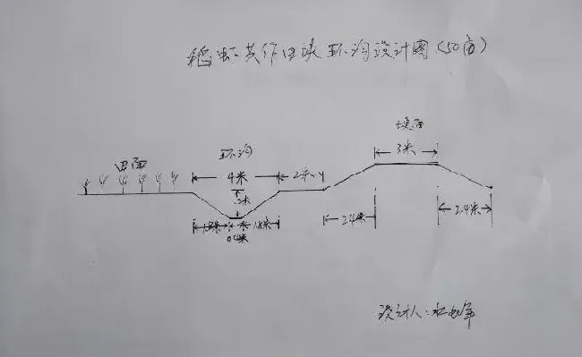 安徽巢湖市2080稻虾综合种养模式的前世今生