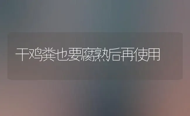 干鸡粪也要腐熟后再使用 | 家禽养殖