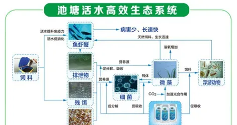 一线实战专家系统解析水质老化问题