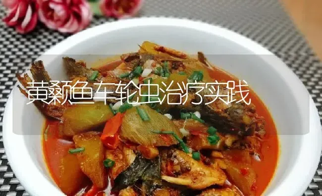 黄颡鱼车轮虫治疗实践 | 淡水养殖