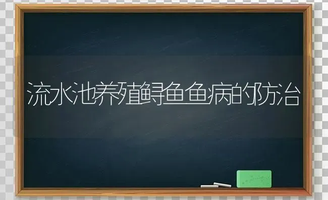 流水池养殖鲟鱼鱼病的防治 | 淡水养殖