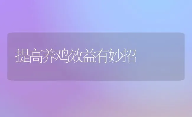 提高养鸡效益有妙招 | 家禽养殖