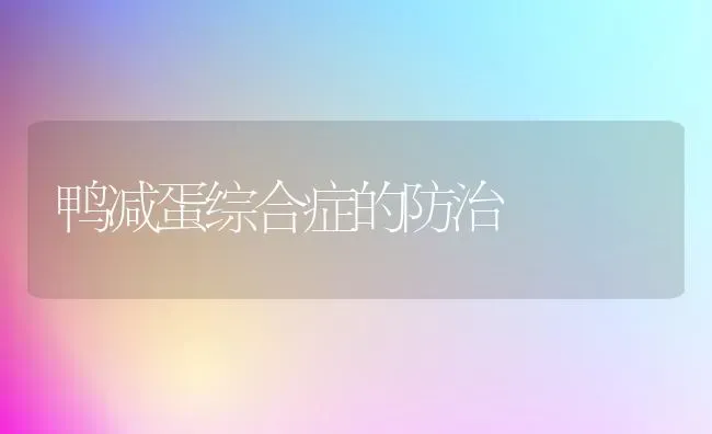 鸭减蛋综合症的防治 | 家禽养殖