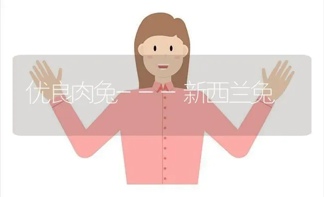 优良肉兔---新西兰兔 | 家畜养殖