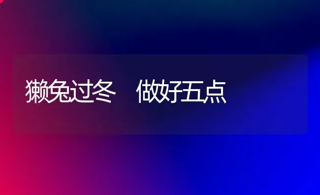 獭兔过冬 做好五点 | 家畜养殖