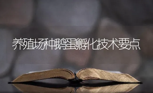 养殖场种鹅蛋孵化技术要点 | 家禽养殖