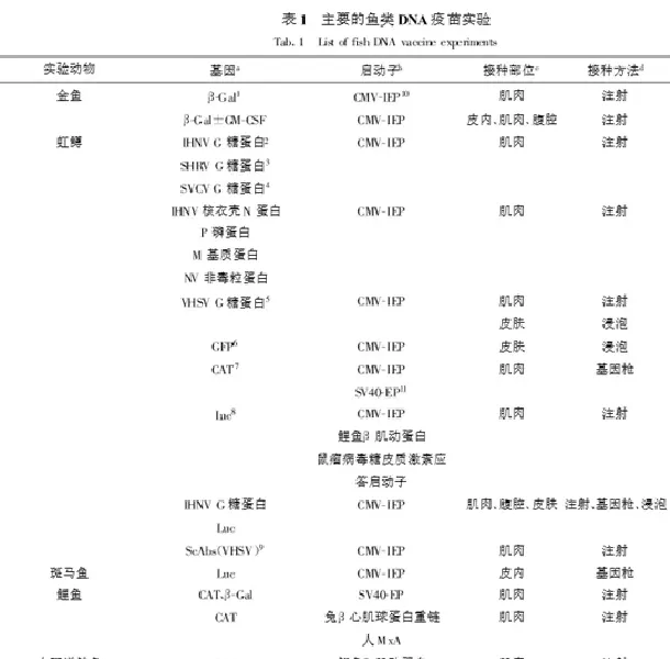 鱼病知识--鱼类DNA疫苗简介