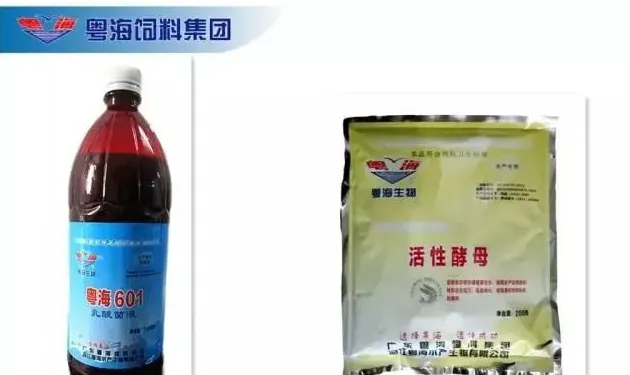 广东肇庆地区罗氏沼虾虾塘混养南美白对虾处理断肠案例