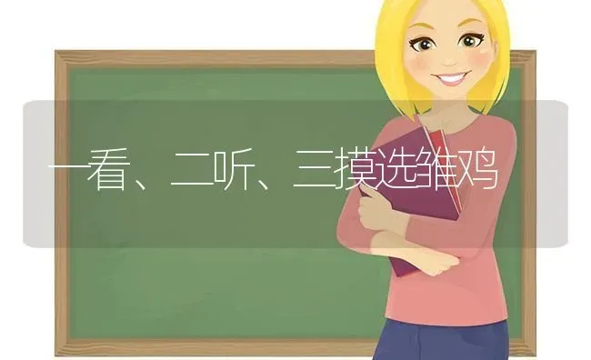 一看、二听、三摸选雏鸡 | 家禽养殖