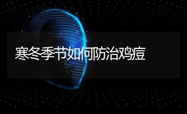 寒冬季节如何防治鸡痘 | 家禽养殖