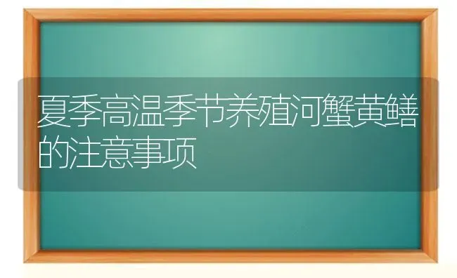 夏季高温季节养殖河蟹黄鳝的注意事项 | 淡水养殖