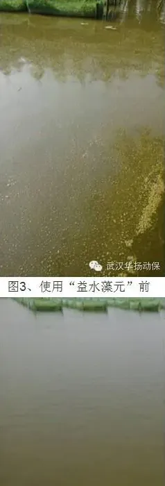 “益水藻元”功效之三—改善底质解决水体冒泡泡