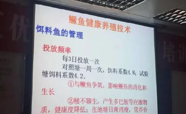 桂花鱼养殖技术培训班心得体会分享
