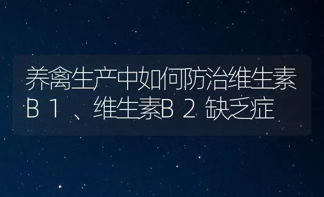 养禽生产中如何防治维生素B1、维生素B2缺乏症 | 家禽养殖