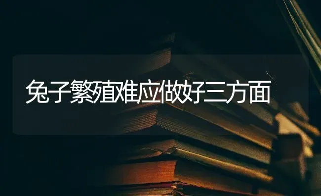 兔子繁殖难应做好三方面 | 家畜养殖