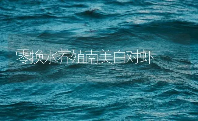 零换水养殖南美白对虾 | 海水养殖