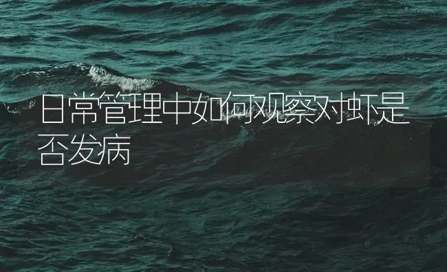 日常管理中如何观察对虾是否发病 | 海水养殖