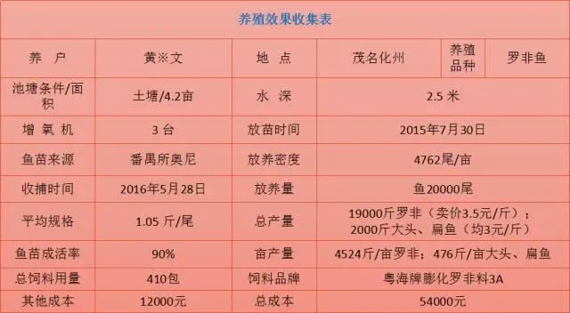 低迷行情下，高密度高增氧模式让罗非鱼养殖户稳赚