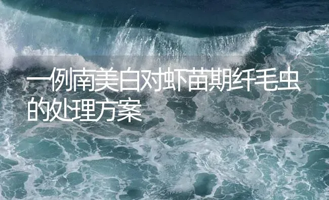 一例南美白对虾苗期纤毛虫的处理方案 | 海水养殖