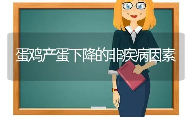 蛋鸡产蛋下降的非疾病因素 | 家禽养殖