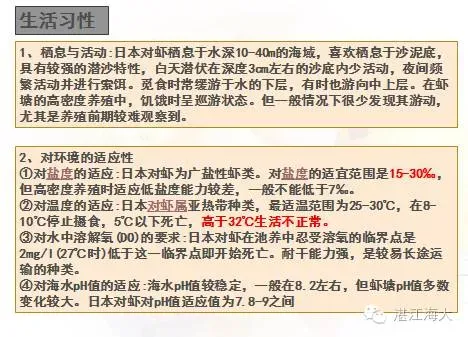 海南东方市感城镇日本对虾养殖模式分享