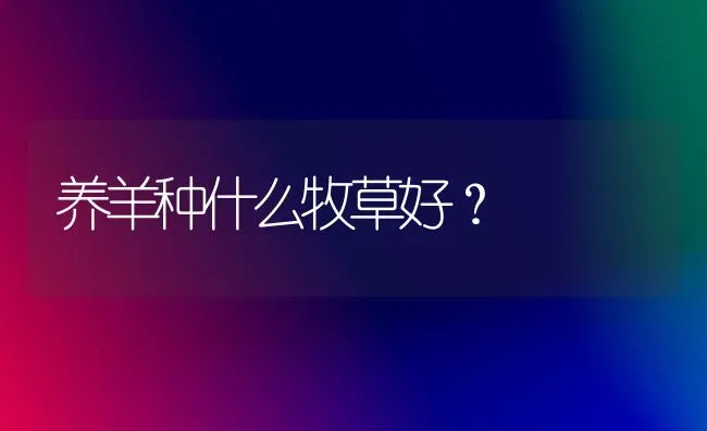 养羊种什么牧草好？ | 家畜养殖