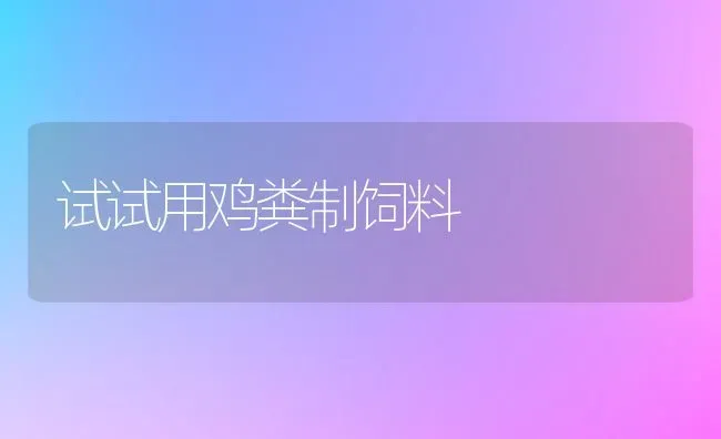 试试用鸡粪制饲料 | 家禽养殖