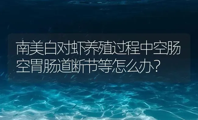 南美白对虾养殖过程中空肠空胃肠道断节等怎么办？ | 海水养殖