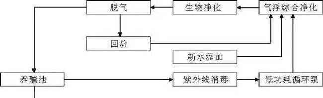 海水工厂循环水健康养殖技术及注意事项