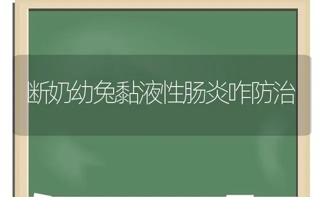 断奶幼兔黏液性肠炎咋防治 | 家畜养殖