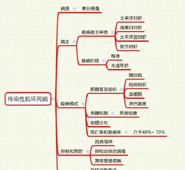 鱼病知识——传染性肌肉坏死病