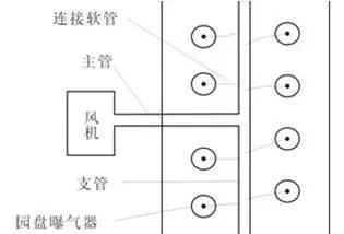 4-5月份河蟹养殖管理的一些问题