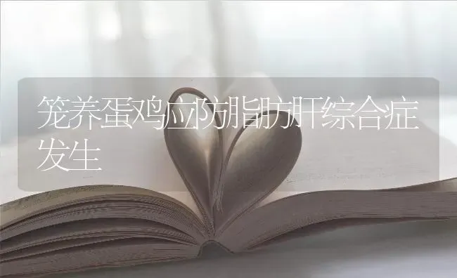 笼养蛋鸡应防脂肪肝综合症发生 | 家禽养殖