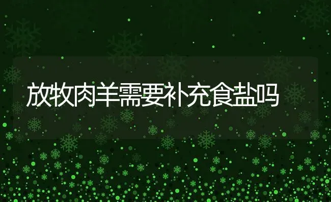 放牧肉羊需要补充食盐吗 | 家畜养殖