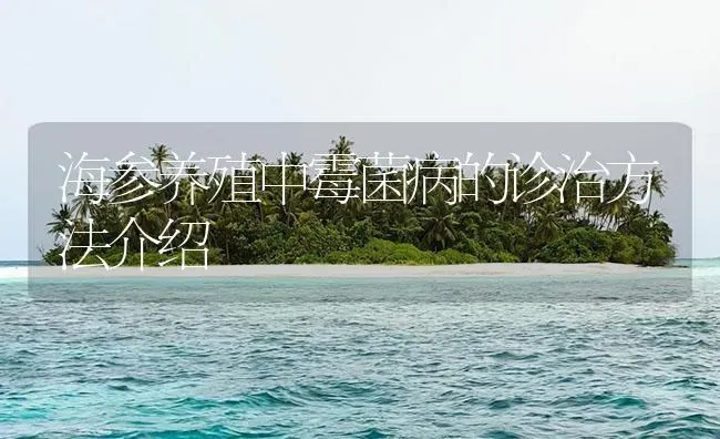 海参养殖中霉菌病的诊治方法介绍 | 海水养殖