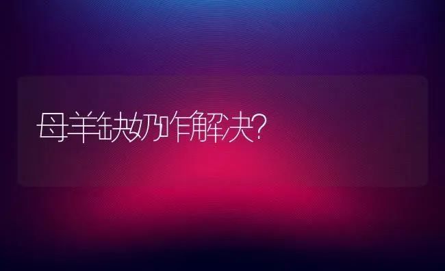 母羊缺奶咋解决？ | 家畜养殖