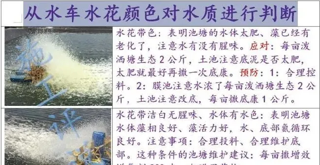 看池塘水花就能知道水质如何？水产养殖户如何掌握这个诀窍？