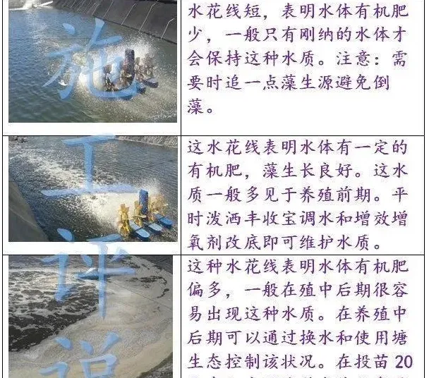 看池塘水花就能知道水质如何？水产养殖户如何掌握这个诀窍？
