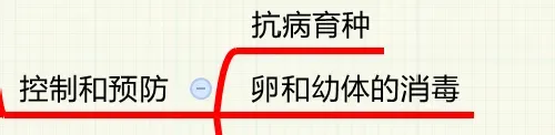 鱼病知识——传染性肌肉坏死病