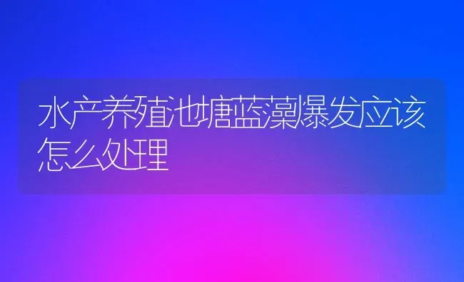 水产养殖池塘蓝藻爆发应该怎么处理 | 动物养殖百科